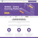 WINKA iGaming Software Provider